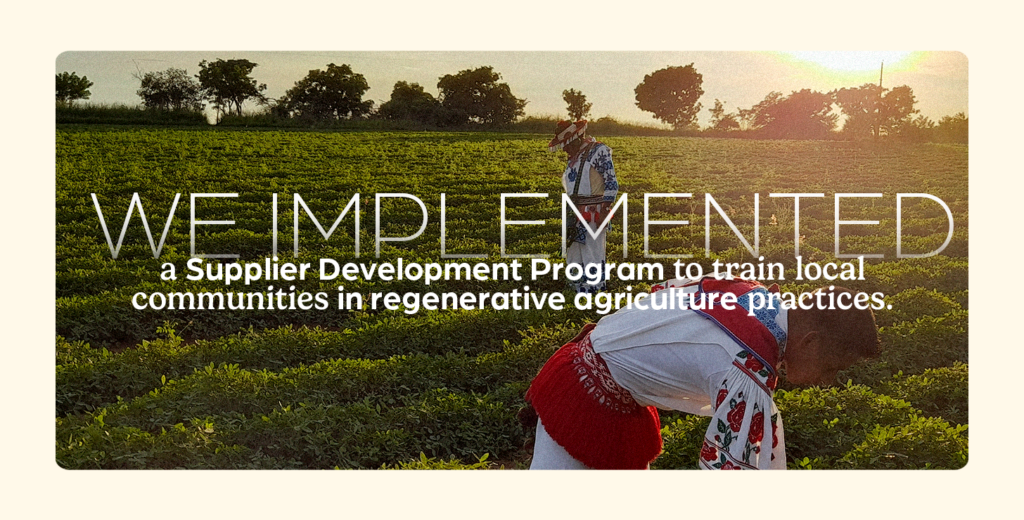 development program