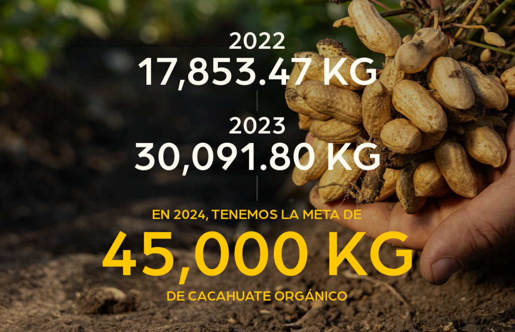 meta cacahuate orgánico