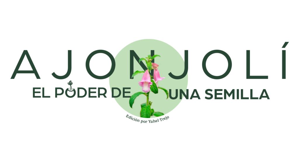 ajonjolí, el poder de una semilla