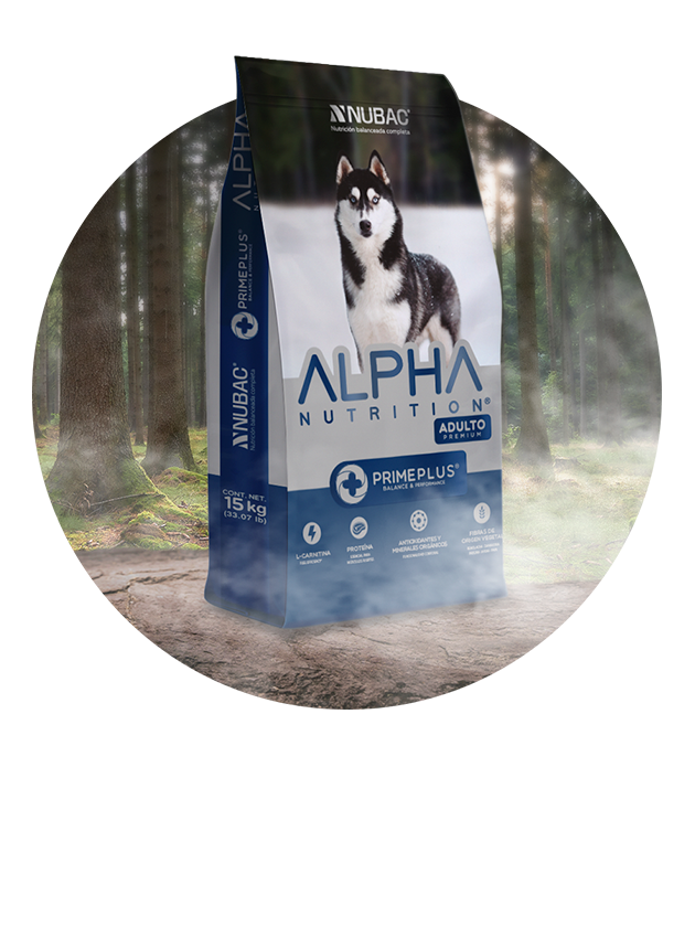 Alpha