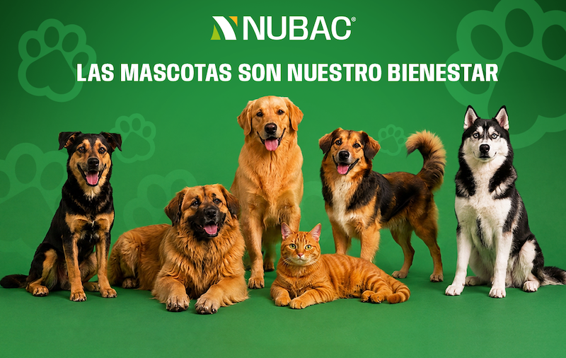 Ingredientes para impulsar tu negocio