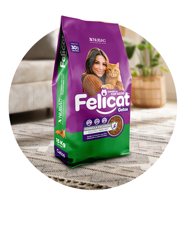 Felicat