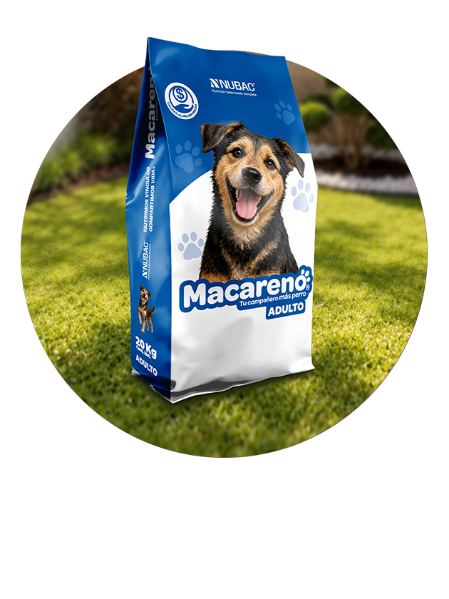 Macareno