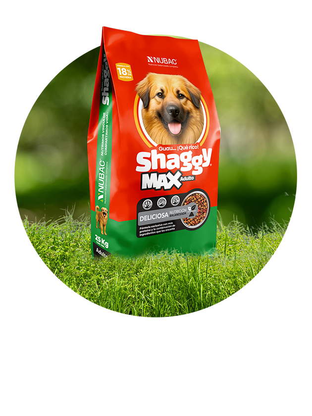 Shaggy
