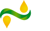 Grupo Sesajal